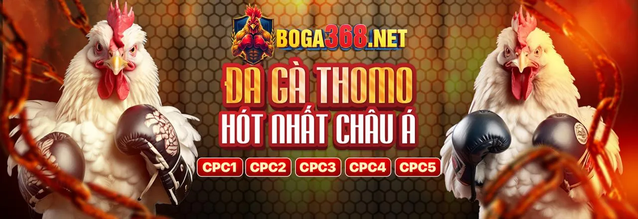 Hình ảnh đa dạng các trò chơi casino tại C168 OKVIP